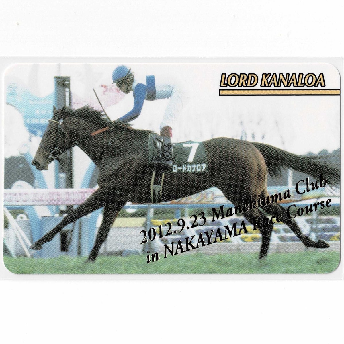 鬣 (@Purple_Mane) / Posts / X