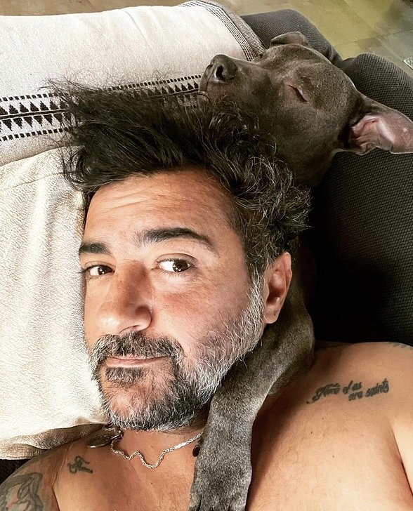 Popzelia tweet media