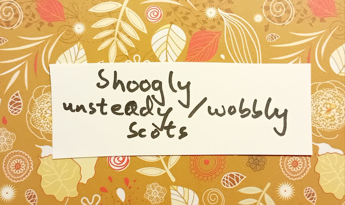 Grace Tierney tweet media