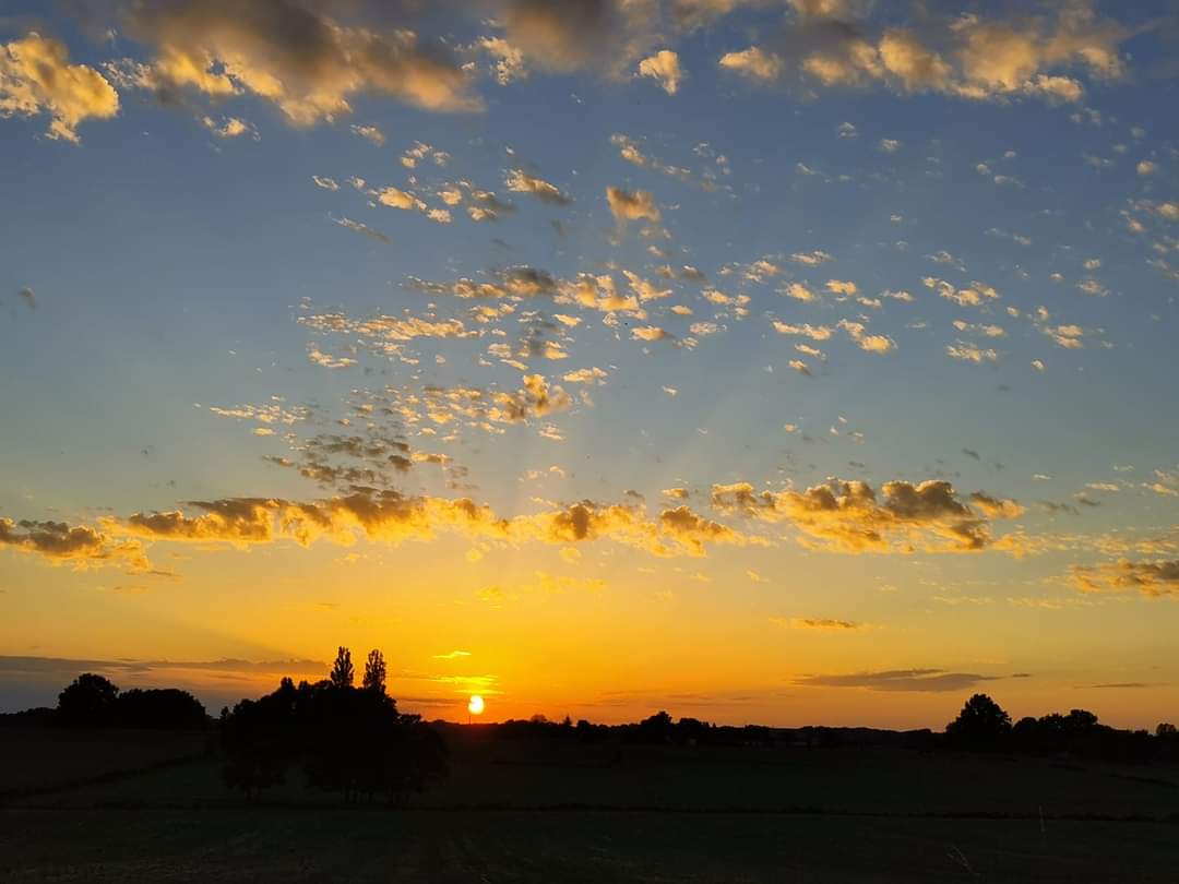 Vie Sil 🕷️ tweet media