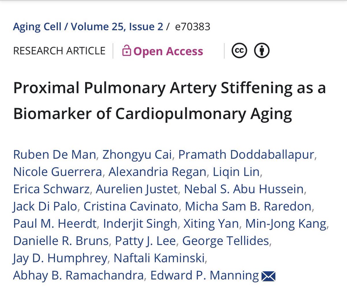 Naftali Kaminski tweet media