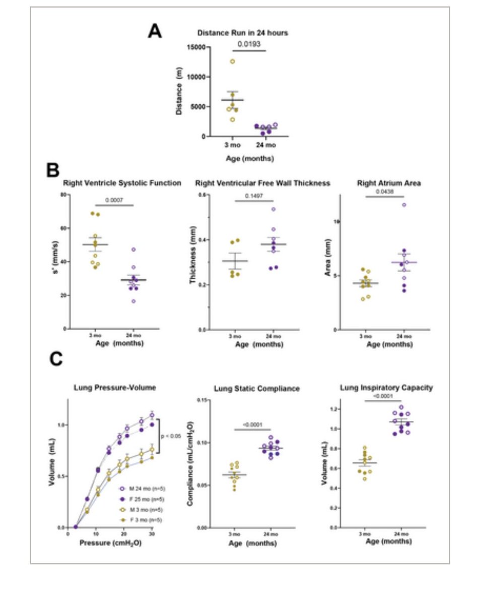 Naftali Kaminski tweet media