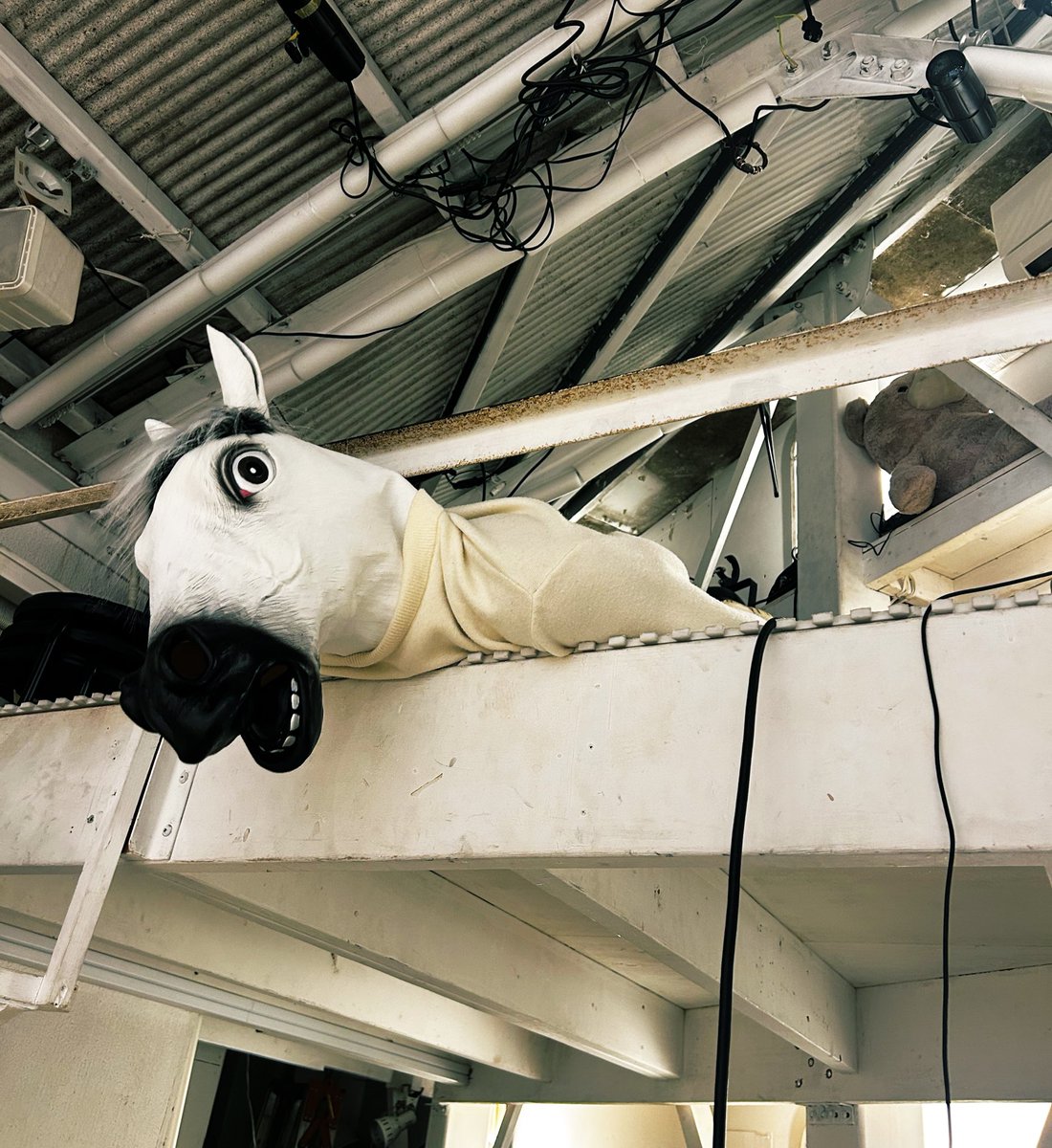 1/29(木)ファンミtheme馬カチューシャ
ありがとうございました！

月1ファンミ来てくれたみんなありがとうーっ✌️
一発目は馬カチューシャでしたっ
みんなでカチューシャつけて楽しかったよ
僕のカチューシャ可愛いよねわかる

次回は明日1月ラスト！
渋谷DESEOでお待ちしてます💪
#アンハニ