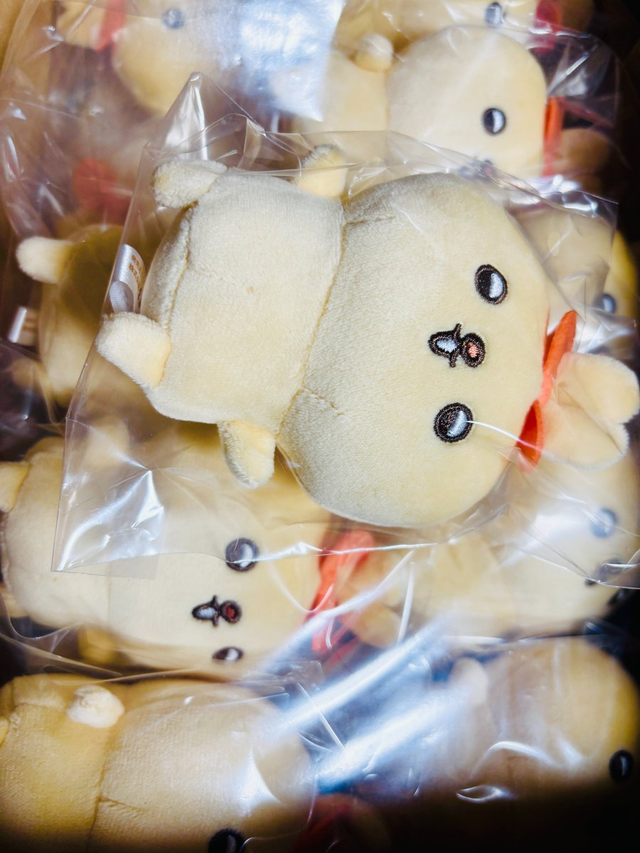 ｱｯｱｯ*✲ﾟ*( 'ᢦ'ま)*✲ﾟ*楽しみ🫶