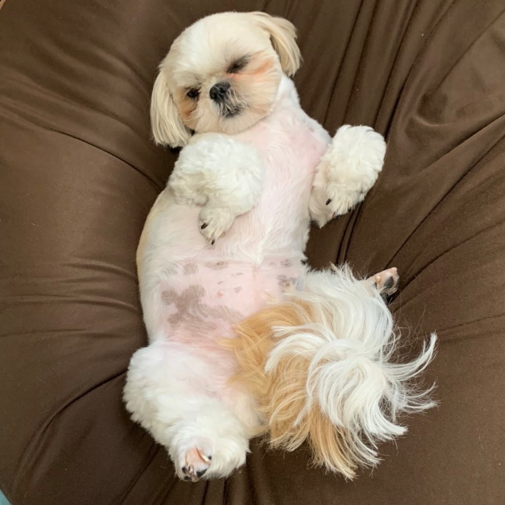 ヒガシ tweet media