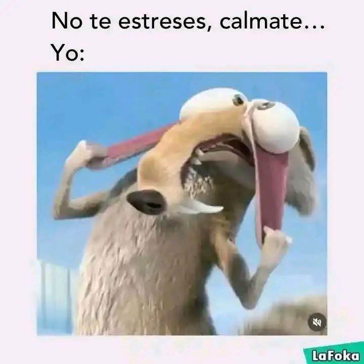 MemesSV7's tweet image. 