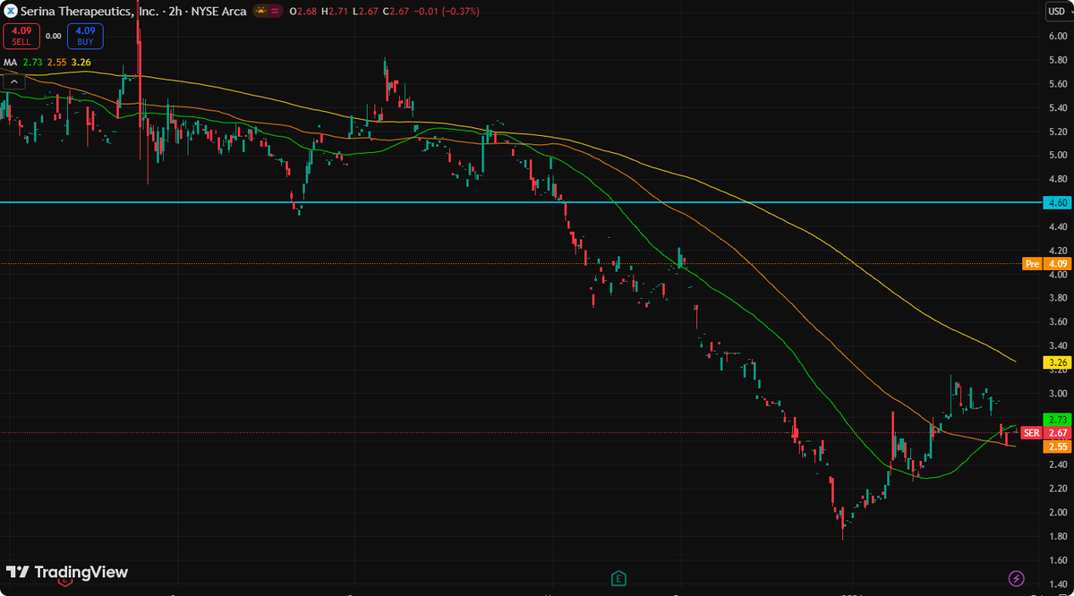 Isabella Rahman tweet media