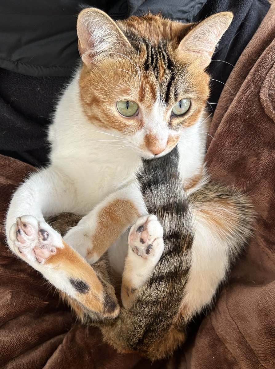 テレワークするともれなくついてきます