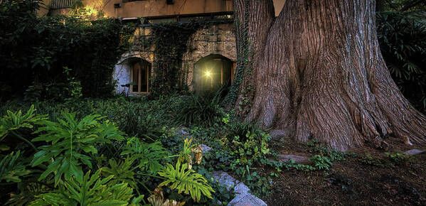 JudyVincent74's tweet image. #SanAntonio Riverwalk Tree and Window #prints Available as canvas, metal, wood, acrylic, framed prints and on many products #Texas #photography #BuyIntoArt #HomeDecor #JudyVincentPhotography #WallArt 
See all products here ---&amp;gt; buff.ly/2TPaNuJ