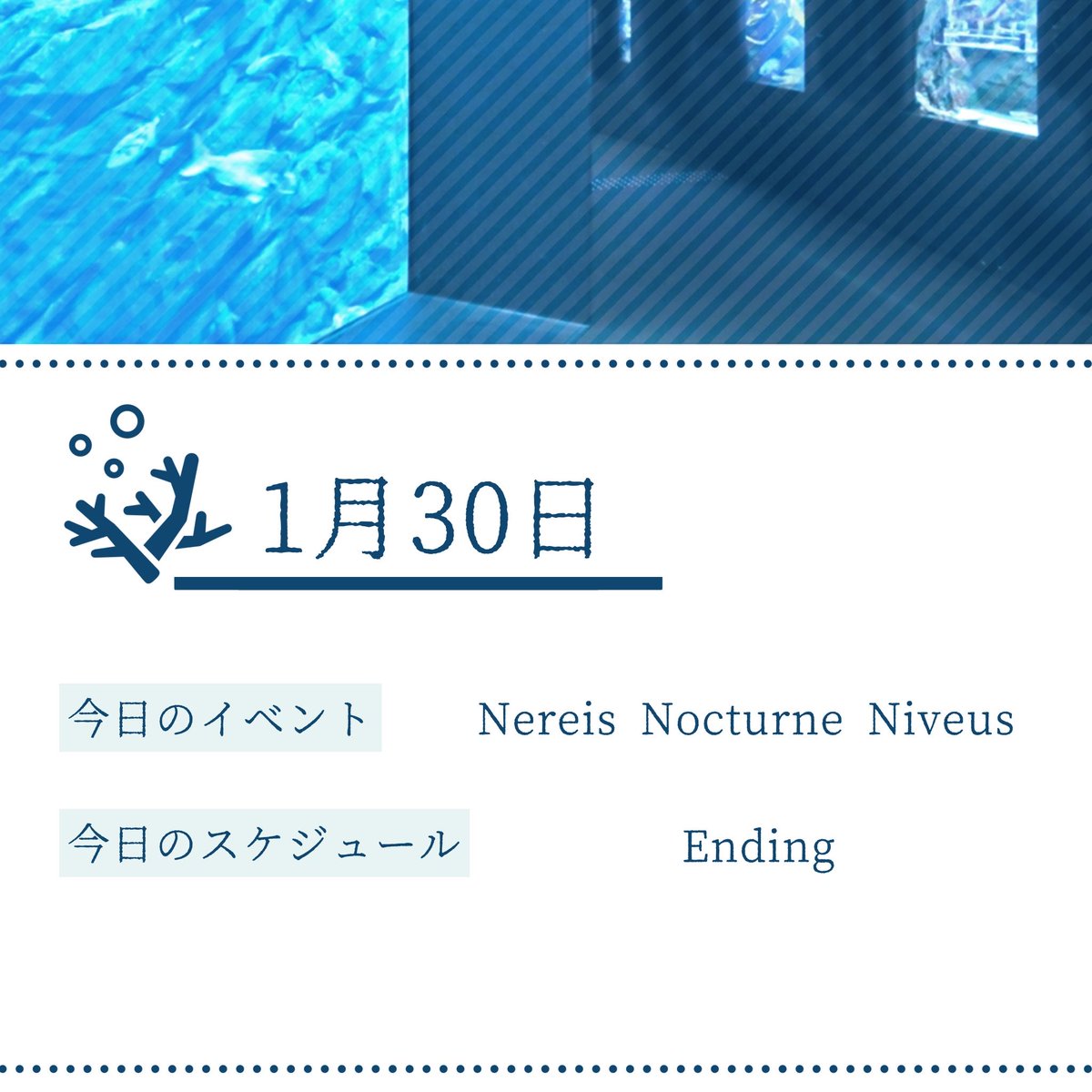 _NNN_official's tweet photo. https://t.co/n43sghkEet