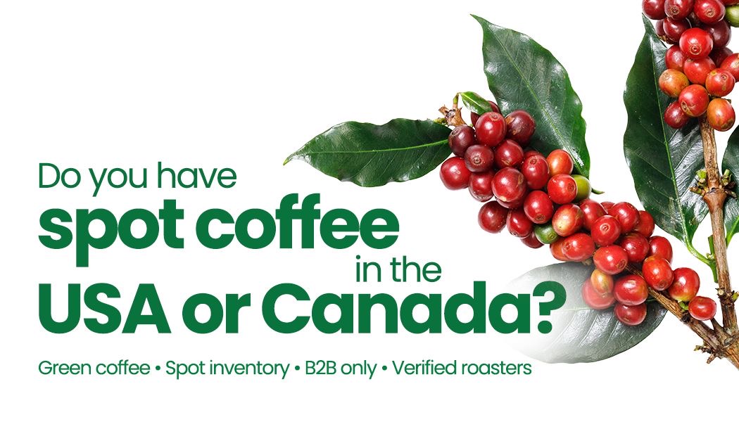 Have spot green coffee in the 🇺🇸 or 🇨🇦? ☕

Sell faster on Adulis — a B2B marketplace connecting coffee suppliers with verified roasters &amp; cafés.

👉 Register now: adulis.com

#SpotCoffee #GreenCoffee #B2BCoffee #CoffeeTrade