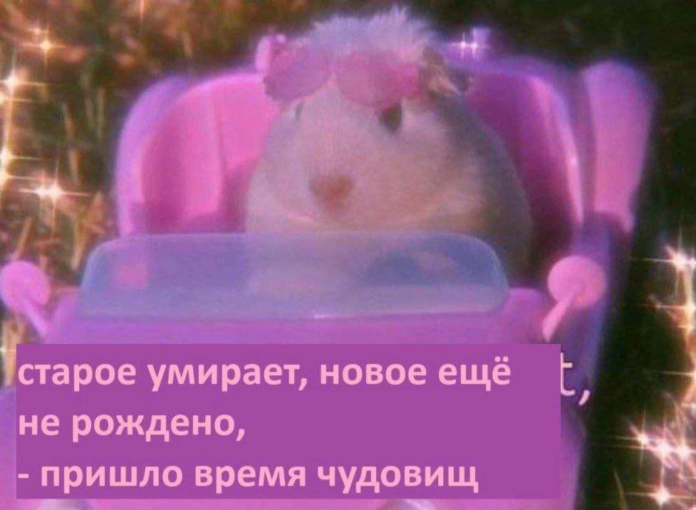 drsy10WSbjZ3Sho's tweet photo. мой любимый мем за сегодня https://t.co/vy1mtYPSEP