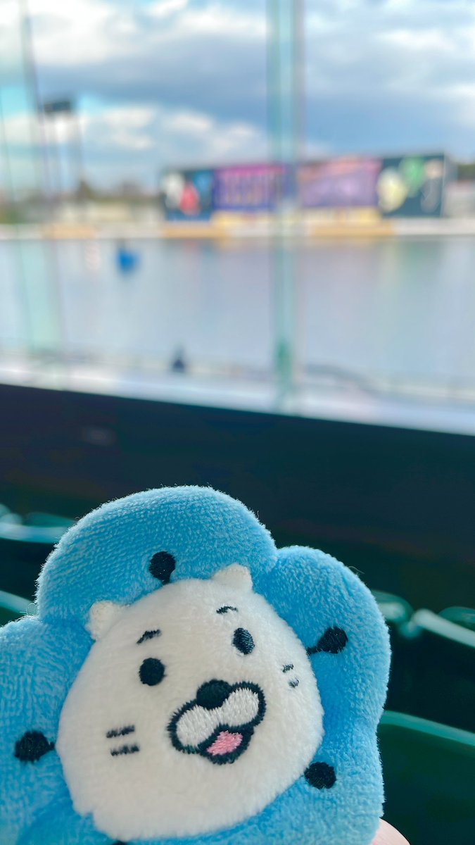 あずきん (@azkn1139) / Posts / X