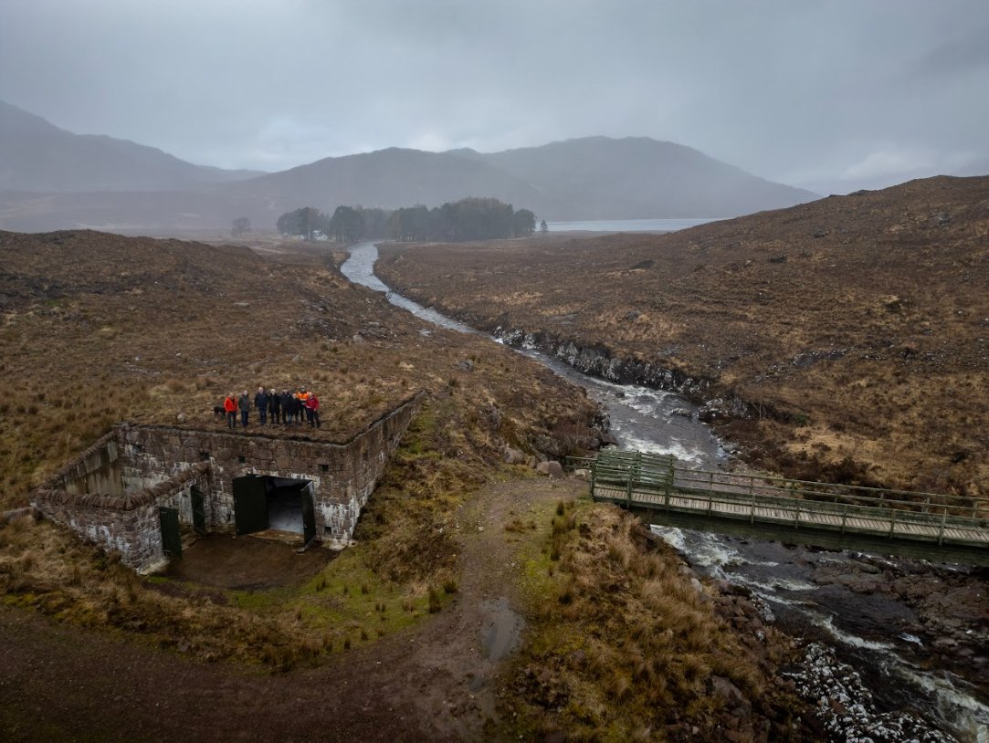 RenewaBlox tweet media