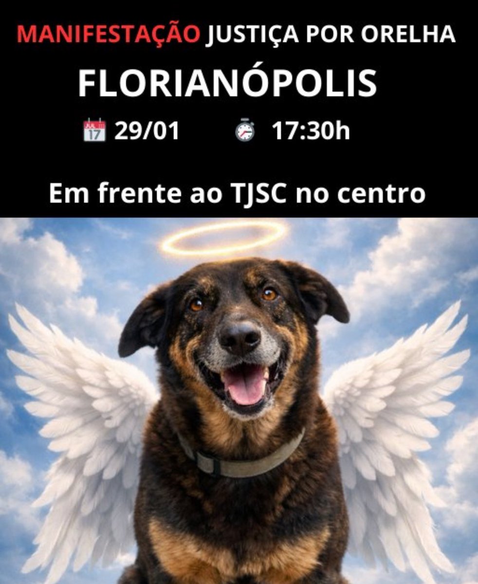 kaarolzx tweet media