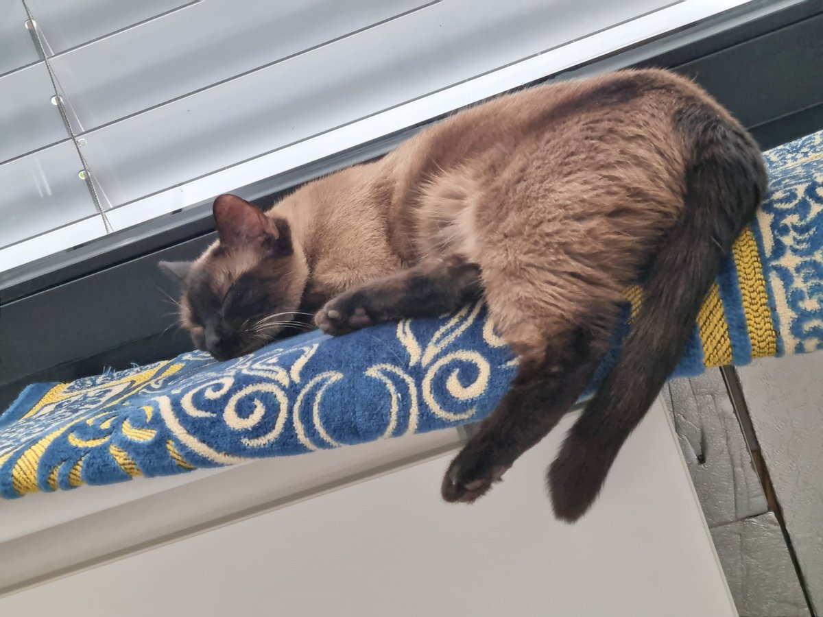 Smitty🥇 tweet media