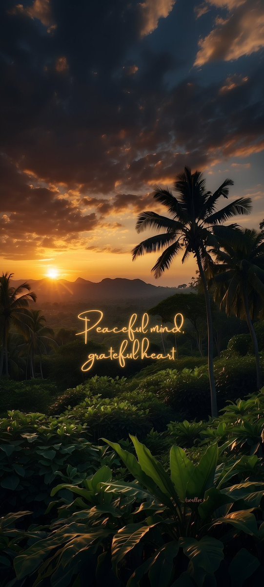 The best gift you can give to yourself is peace. It starts with healing. 💚