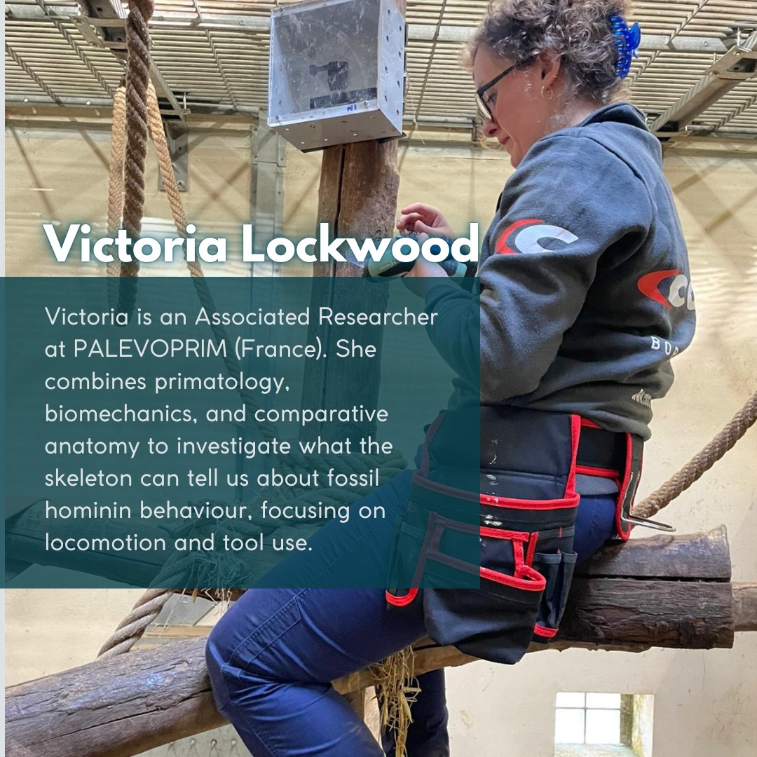 palevoprim's tweet photo. @Palevoprim est ravi de compter parmi les membres actives de la 6th #vcwap (https://t.co/uXd6VySrzF) d’anciennes doctorantes, Victoria Lockwood et Margot Louail, ainsi que Laurie Pélissier, actuellement en thèse au laboratoire. @CNRSecologie @UnivPoitiers https://t.co/Fzn4iO7AZs
