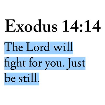 Bible 365 (@bible365_) on Twitter photo 