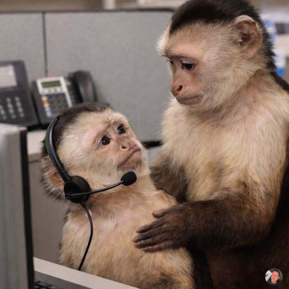 𝑀𝐴𝑅𝐶𝑈𝑆 𝑜𝑓𝑓𝑖𝑐𝑖𝑎𝑙 tweet media