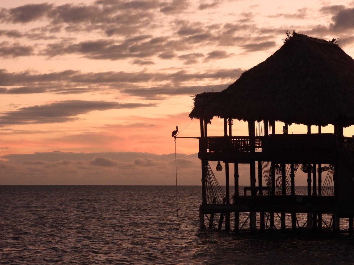 pocfishngal's tweet photo. Good morning beautiful people! #Belize #outdoorsisfree #bestpartoftheday https://t.co/b9mSVuvYC0