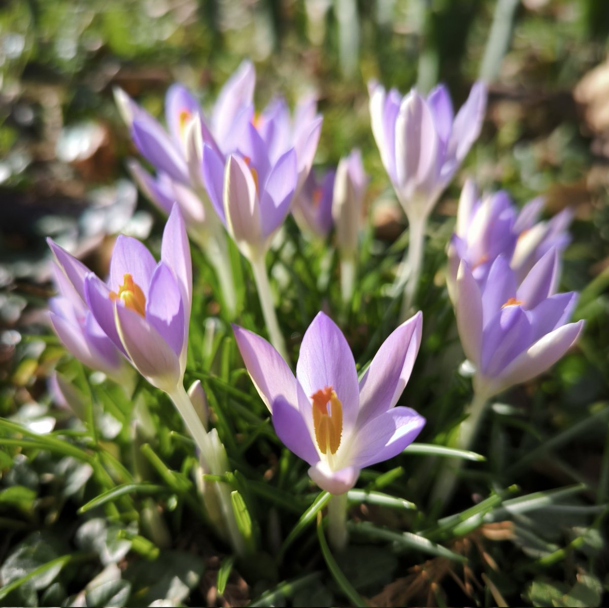De quoi penser à autre chose que l'actualité internationale....