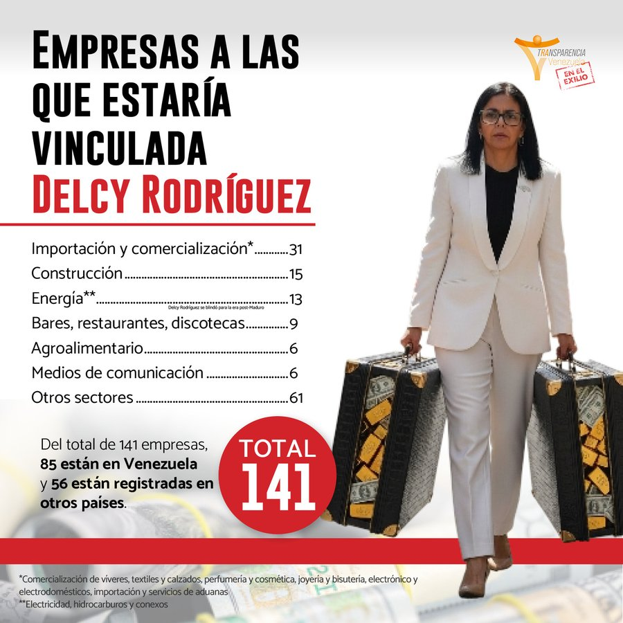 Delcy Rodríguez está presuntamente vinculada a 141 empresas en más de 29 sectores económicos, en 8 países.

Al menos 24 empresas con las que se presume que Delcy Rodríguez tiene vínculos han suscrito contratos con el Estado. Hay unas 122 personas que participan como miembros de