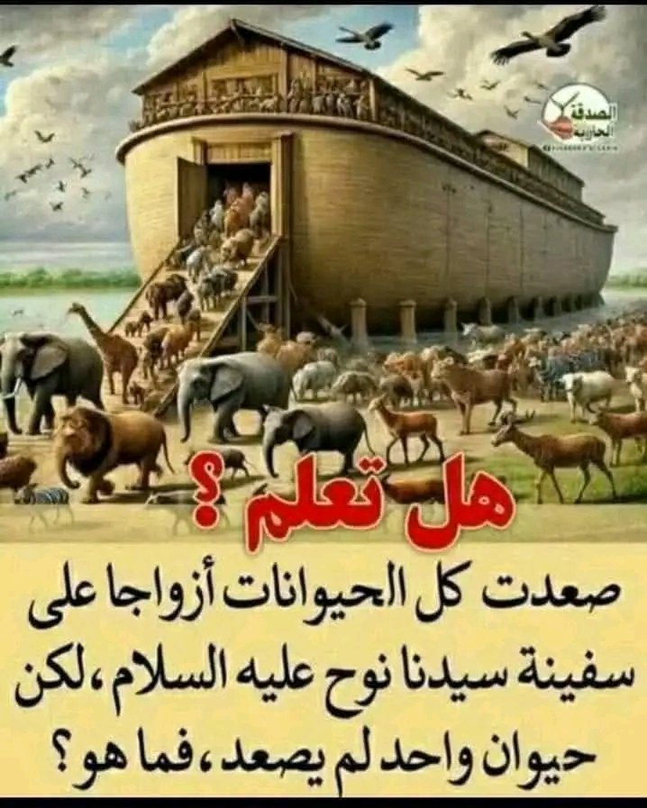 ريتاج بنت البدو وافتخر💓💕🌹🌷💟 tweet media