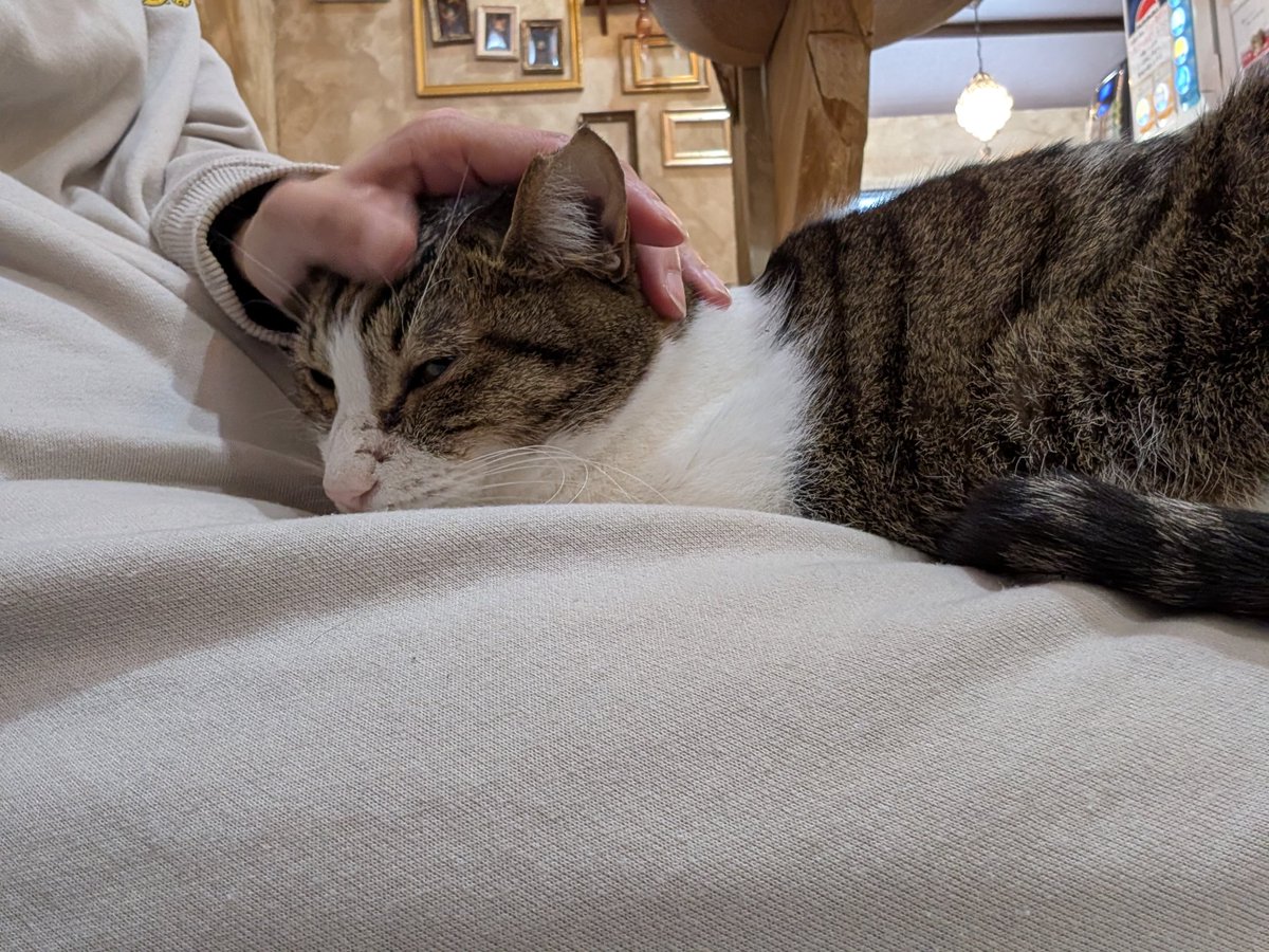 今日も幸せ❤😻❤️