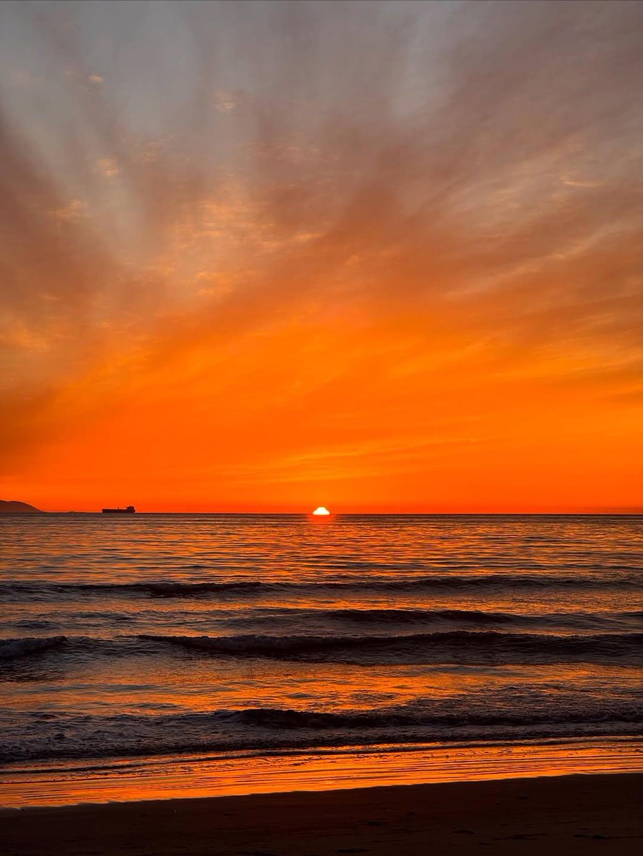 Blossom Beauty (@blossombeauty56) on Twitter photo 