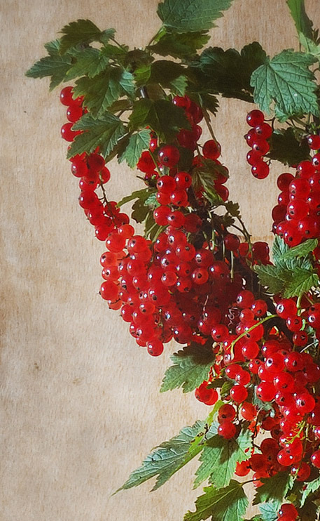 Art or Other Things tweet media