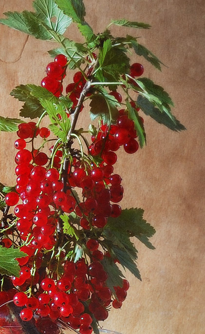 Art or Other Things tweet media