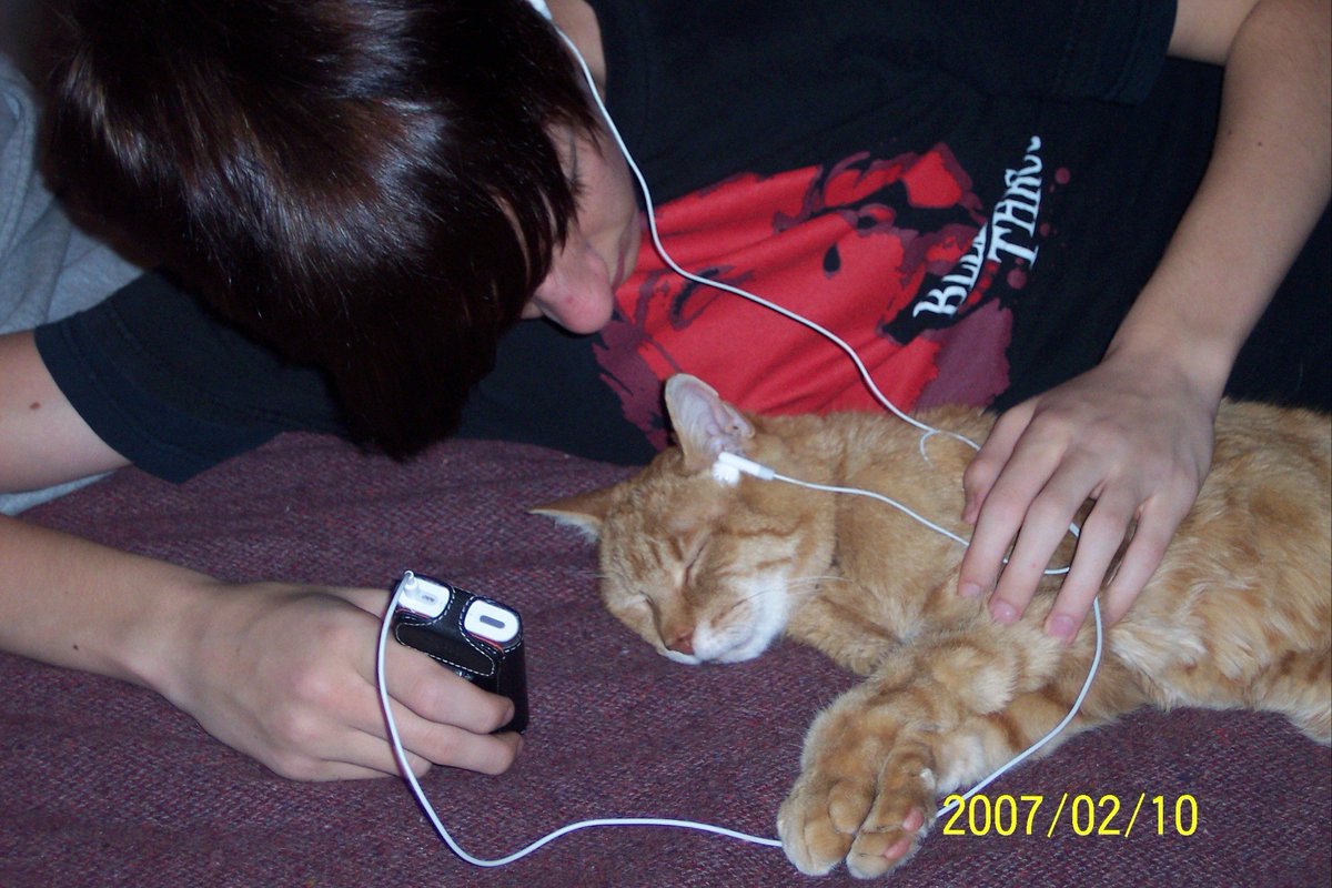 eccö (@3cc0__) on Twitter photo 