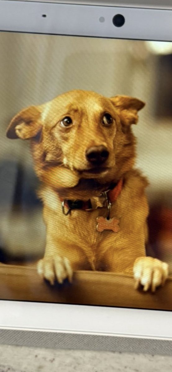 IyoskyMDL tweet media