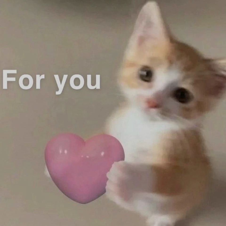 PunchingCat's tweet image. 