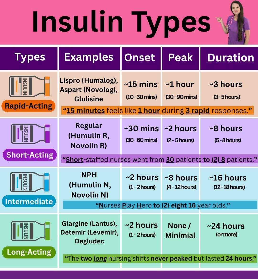 Insulin Types