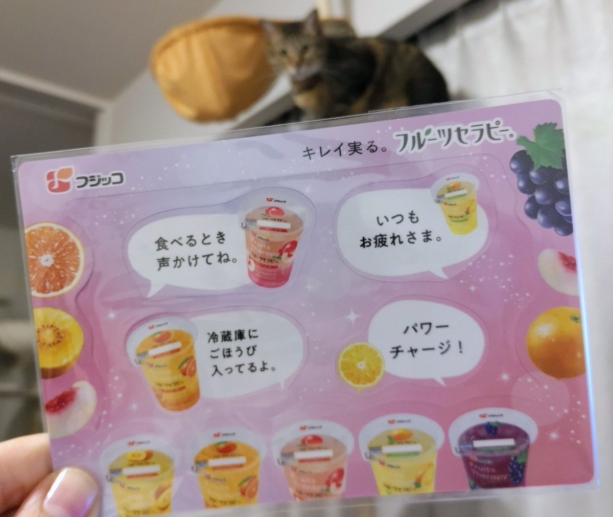 牛乳キャップ20万円値下げしました❣️ にゃんきち (@nyankichi62) / Posts / X