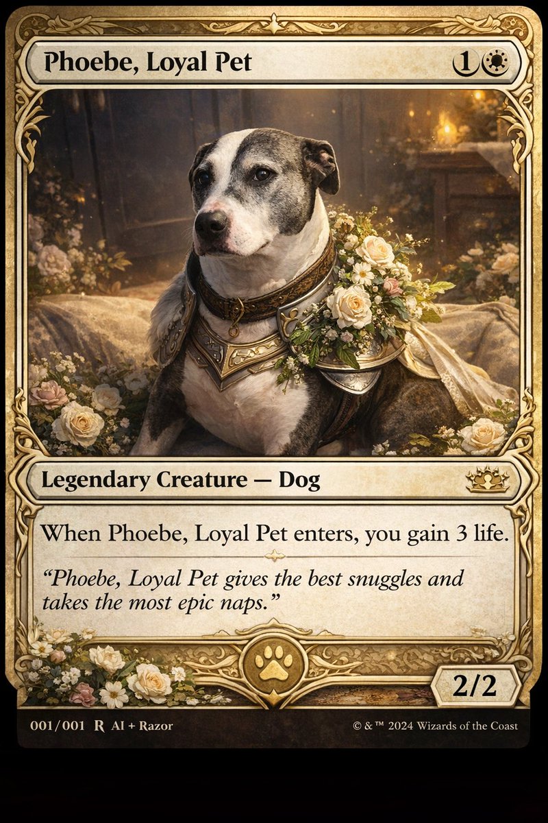 Jan, The Flying Dutchman tweet media