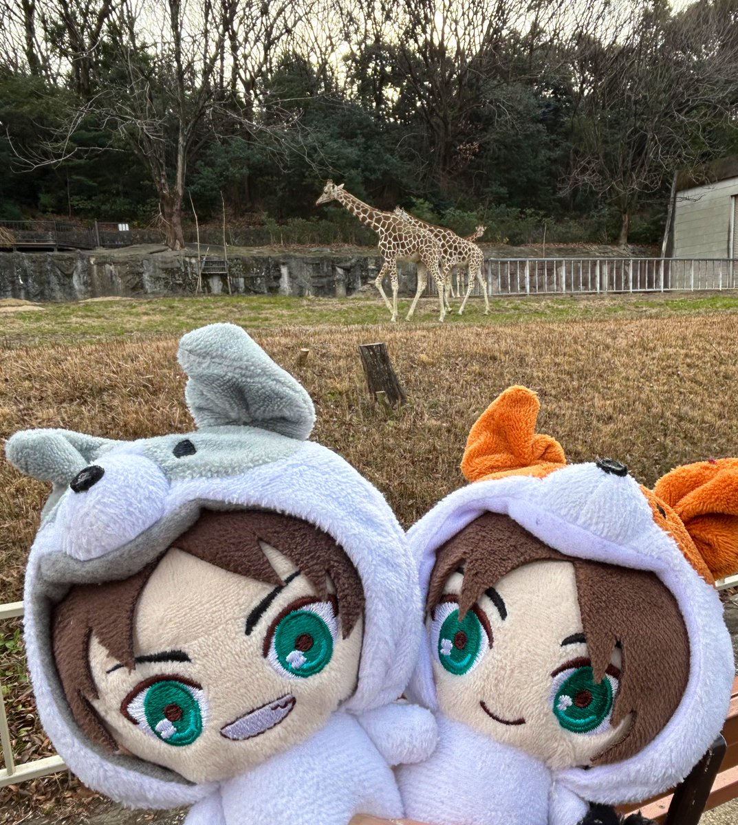 どうぶつえんにいってきたよ🐶🐶