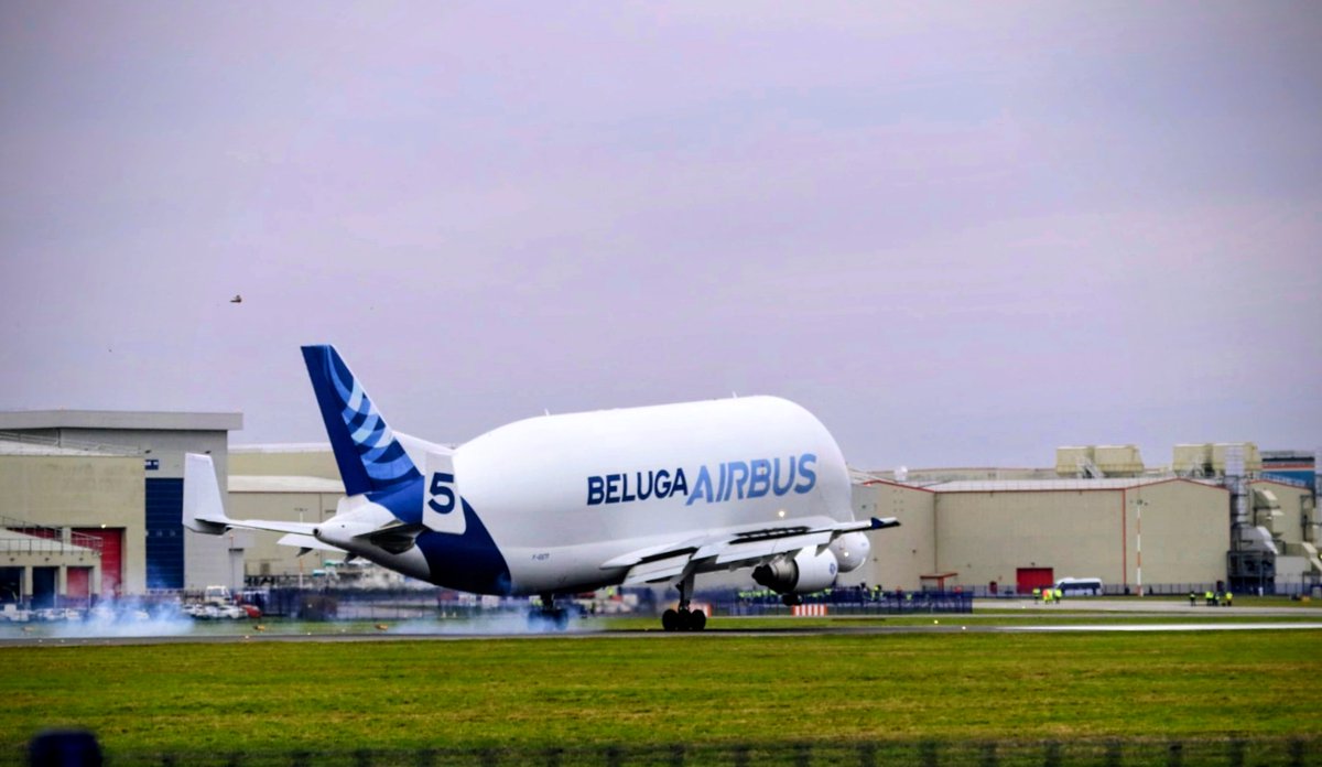 Brian Prydden tweet media