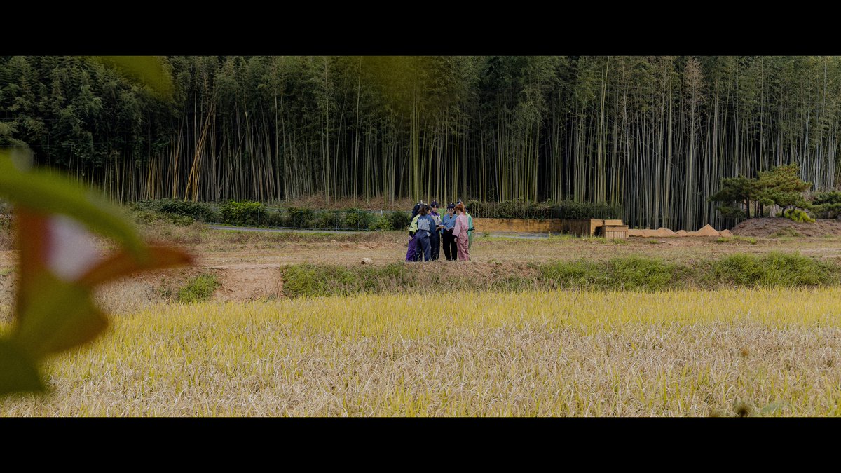 🍀트친소 새하🍀 tweet media