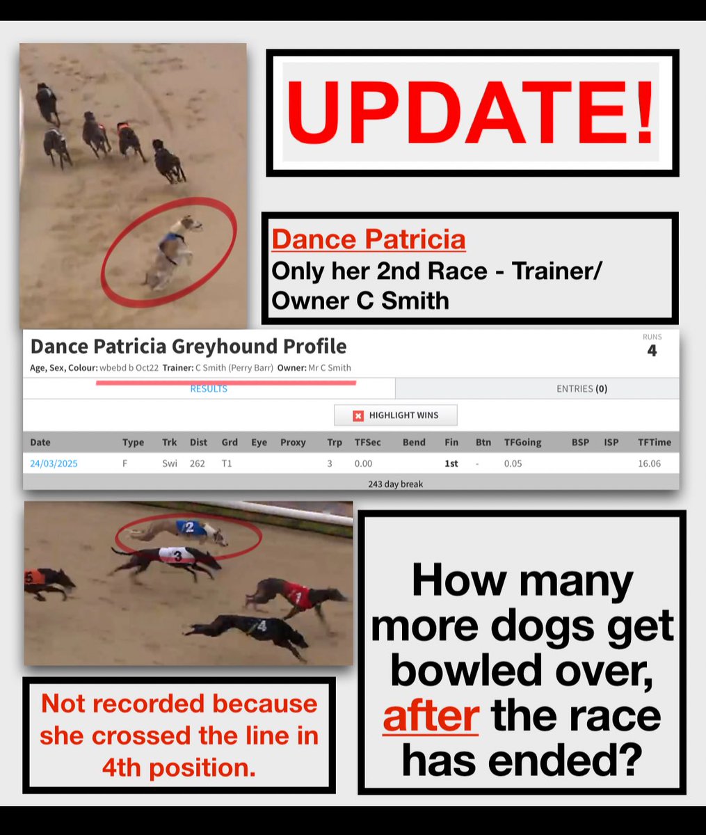 RobbieGrey2's tweet image. What’s happened to this dog? Dance Patricia hasn’t run on a GBGB track since she was trialled, in March 2025. Only 4 runs too. Trainer/owner C Smith. Has she been homed? Sold abroad? Dead? #AnimalAbuse @lisanandy @GreyhoundBoard #Transparency