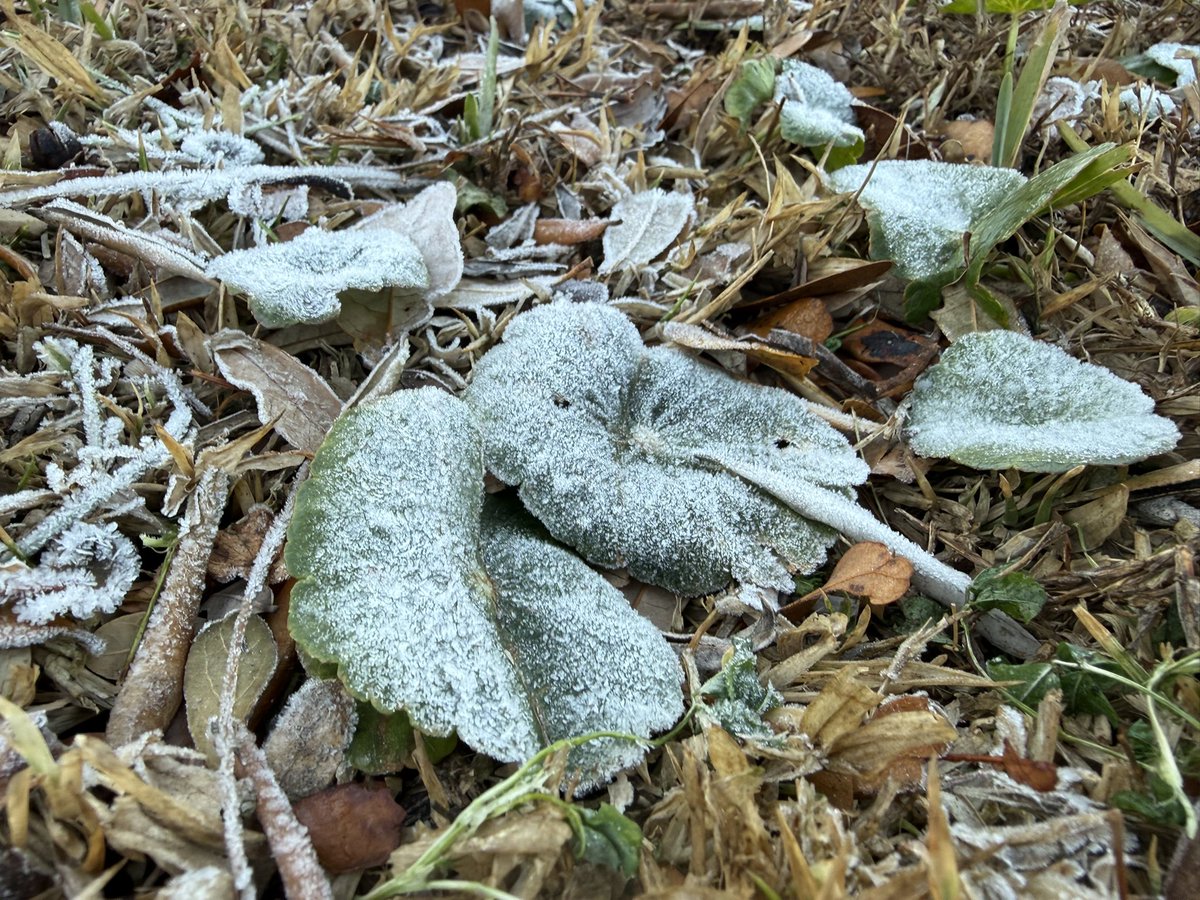 Bryan Bennett tweet media