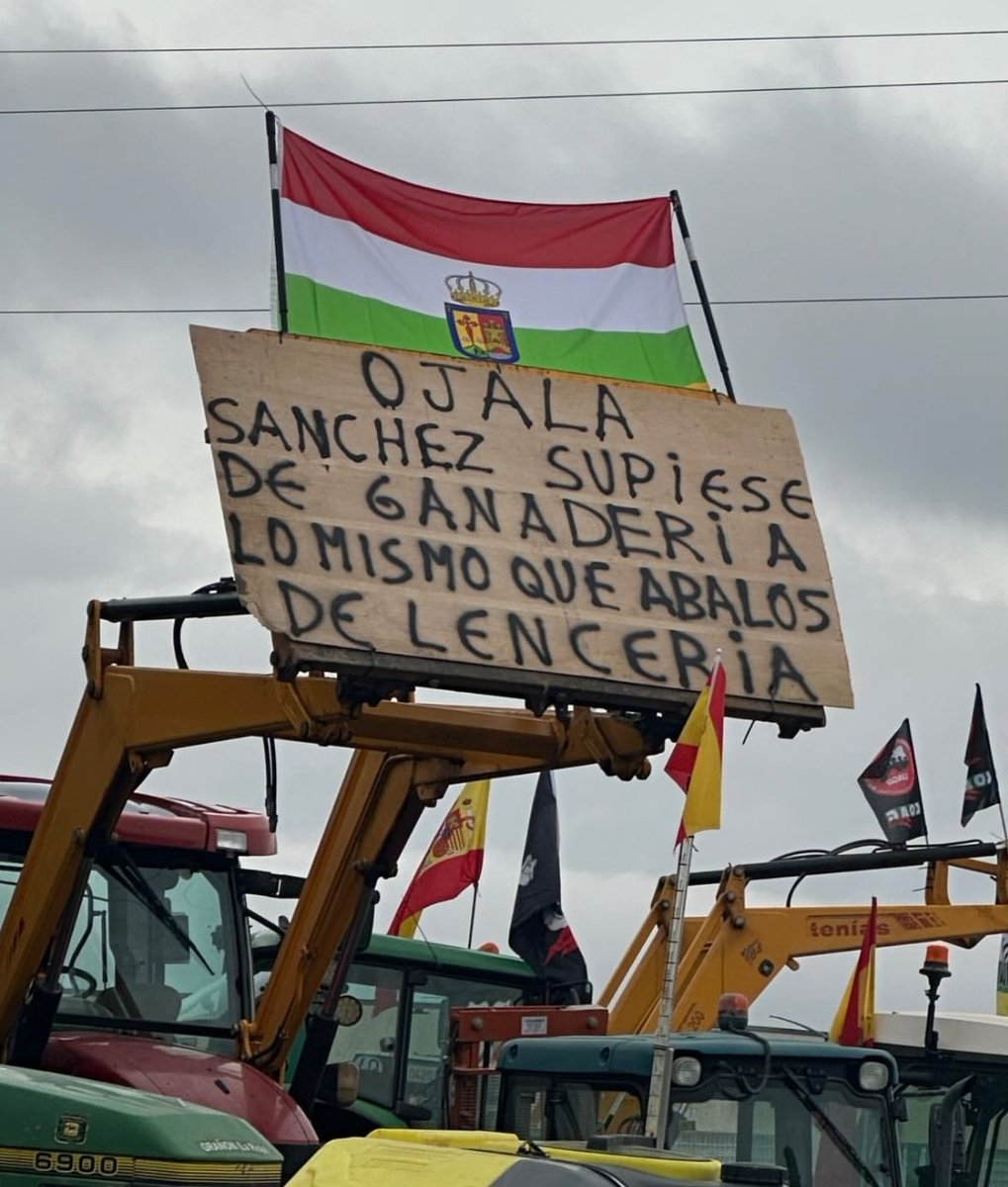 Ojalá Pedro Sánchez supiese de ganadería lo mismo que Abalos de lencería.