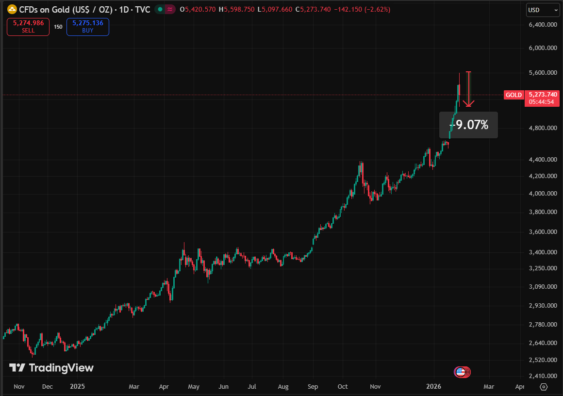 Rafaela Romano tweet media