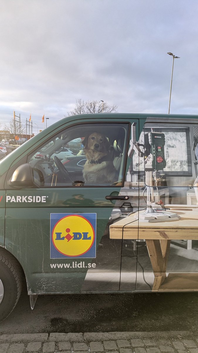 Gonza 🇪🇸 tweet media