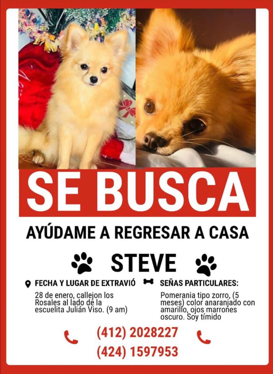 STEVE YA ESTÁ CON SU FAMILIA😇🙏🏼🥳🥳🥳🥳🥳🥳
🥳🥳🥳🥳🥳🥳🥳🥳🥳🥳🥳