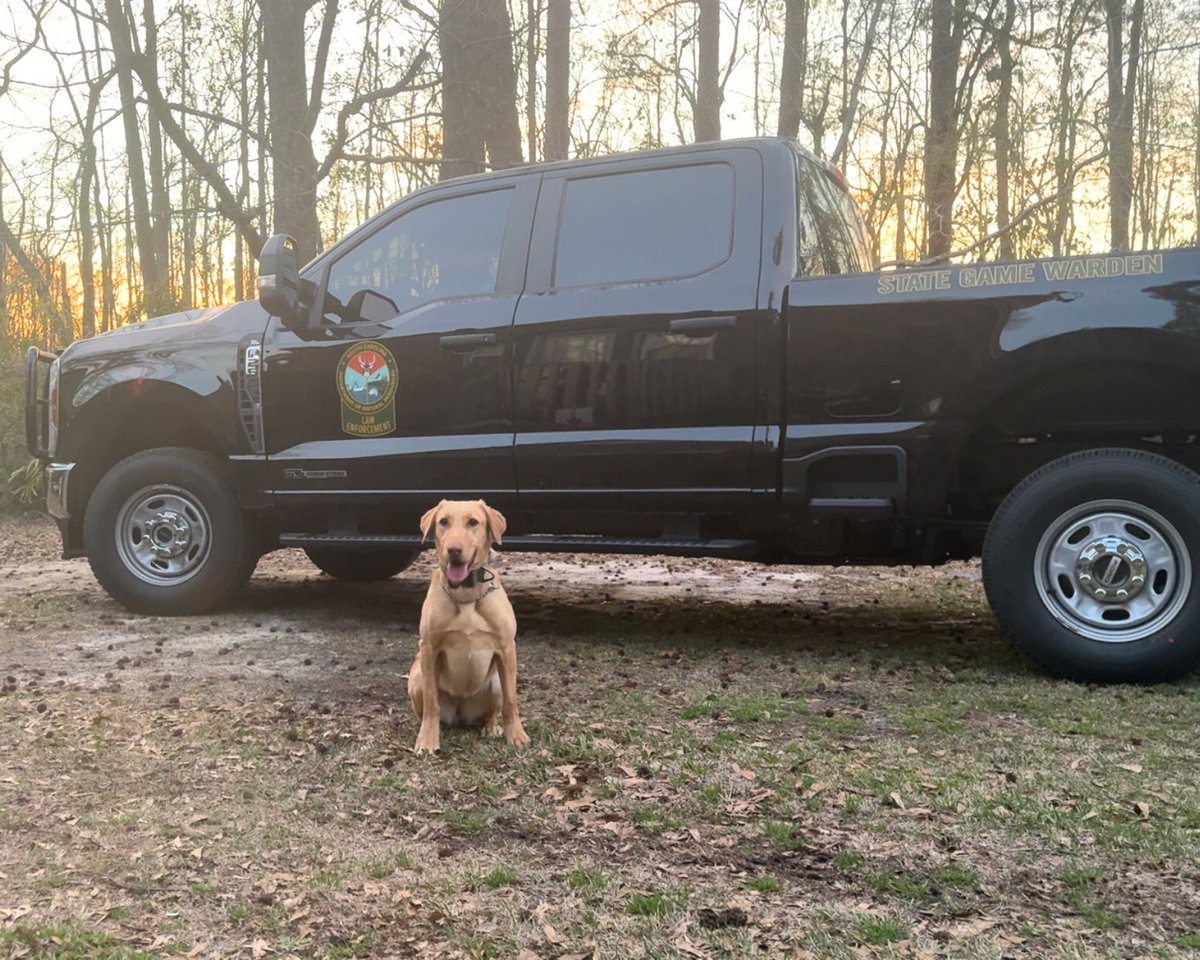 S.C. Dept. of Natural Resources tweet media