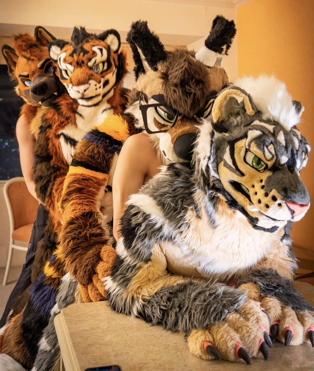 Furry Train 🐾✨

🐺:<a href="/PalaceWolf_/">Palace</a> 
🐯:<a href="/Alextiger2020/">Alex Tiger ꉂꉂ🐯</a> 
🐺:<a href="/RingerShep/">Ringer</a>