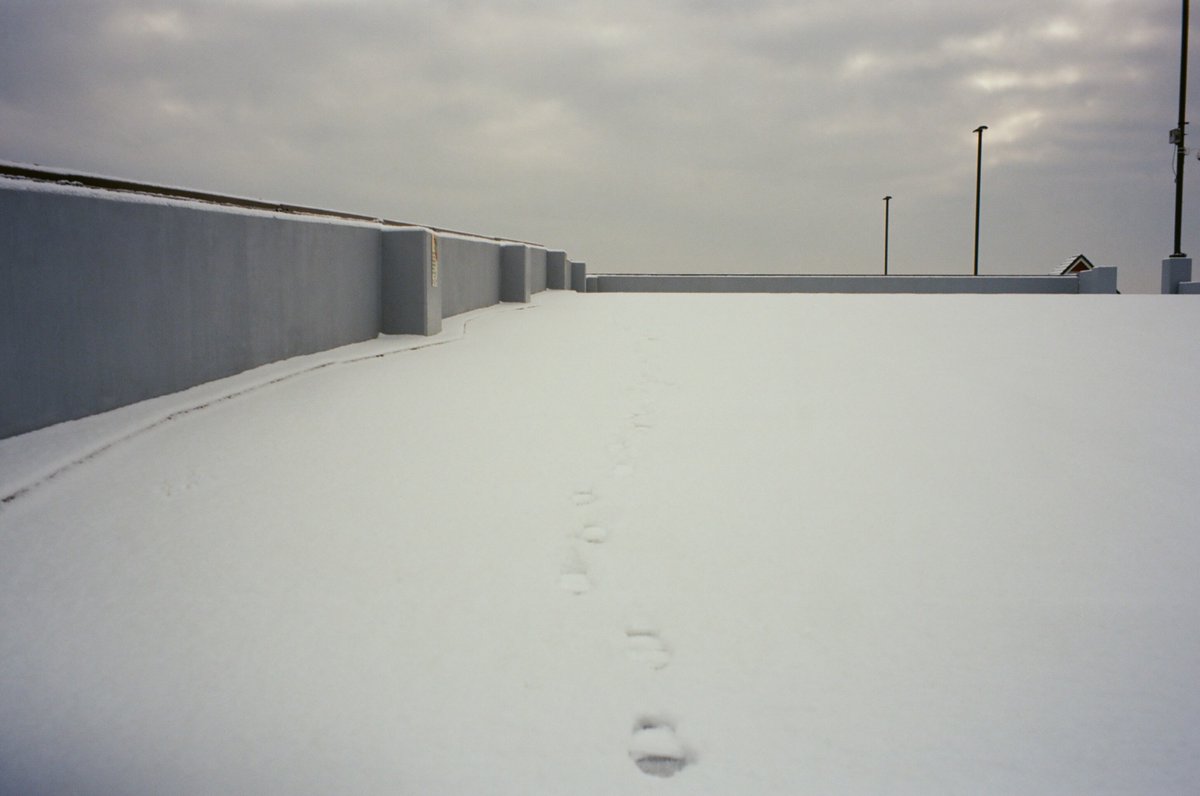 SimulationRot (@simulationrot) on Twitter photo 